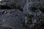 熟地黄壮阳吗 熟地黄壮阳效果好吗