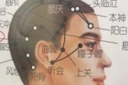 浮白的准确位置图片 浮白准确位置图和作用