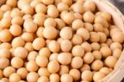 大豆油变质了还能吃吗 大豆油变质了是什么样子