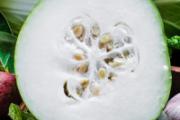 冬瓜和什么做汤最好喝 怎么做冬瓜排骨汤窍门