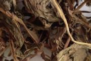 男人喝蒲公英茶有啥作用 蒲公英茶哪些人不宜喝
