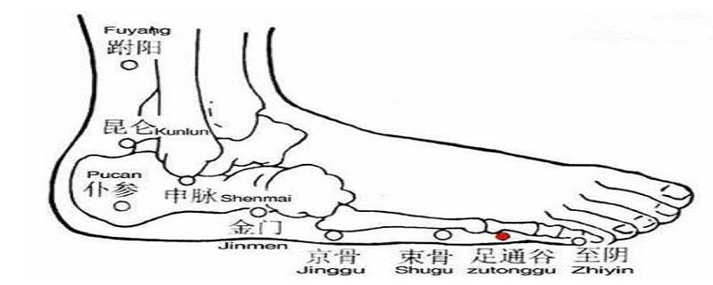 足通谷的准确位置图片 足通谷的准确位置图和作用