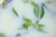 鲫鱼豆腐汤怎么烧汤白 鲫鱼豆腐汤怎么做不腥