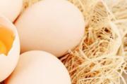 鸡蛋和洋葱可以一起吃吗 鸡蛋和洋葱一起吃有什么好处