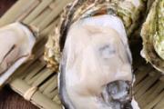 生蚝怎么保存时间最久 带壳生蚝可以冷冻吗