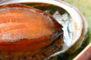 鲍鱼不能和什么同食