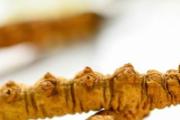 冬虫夏草熬水多长时间 冬虫夏草的吃法用量