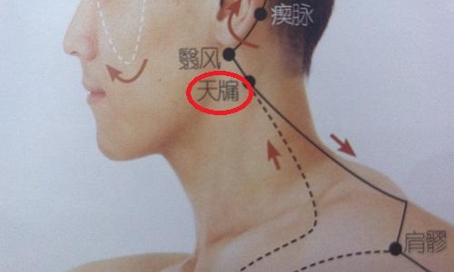 颈侧部,当乳突的后1天牗的准确位置图发表[养生攻略]天牗的准确位置图