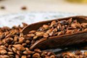 喝了大麦茶还能喂奶吗 喂奶可以喝大麦茶吗