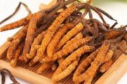 冬虫夏草能治什么病 这6大疾病你都知道吗