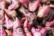 菱角可以冷冻保存吗 菱角冰冻了拿出来怎么吃