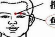鱼腰在哪个部位图片 鱼腰的意思是什么