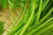 煮香菜水什么时候喝 香菜煮水每天喝多少