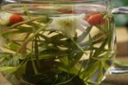 菊花茶喝多了有什么副作用 没想到菊花茶喝多了居然会这样