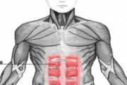 怎么练腹肌不伤腰 腰肌劳损怎么练腹肌