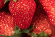 草莓能冷藏吗 草莓常温放三天可以吗