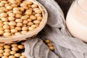 糙米可以打豆浆吗 糙米打豆浆口感好吗