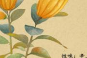 佛手瓜和佛手柑的区别 佛手柑可以生吃吗