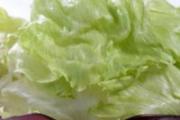 生菜能放冰箱吗