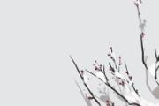 冬至过后白天越来越长吗 冬至过后是不是越来越冷