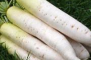 甲状腺结节不能吃什么食物