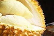 喝了豆奶可以吃榴莲吗 豆奶和榴莲一起吃会怎样