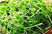 冬天吃哪些蔬菜好 滋养润燥清热解毒