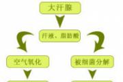 青春期有狐臭怎么办
