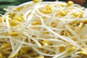 黄豆芽放冰箱里面几天还能吃吗 黄豆芽隔夜发绿了还能吃吗