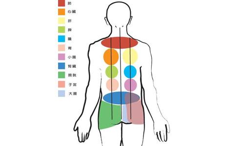 腹痛刮痧位置图 背部刮痧出痧示意图